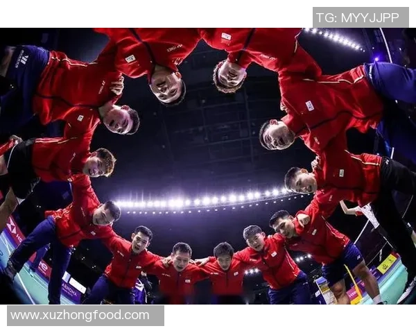 南京羽毛球队在锦标赛中的状态分析与表现评估